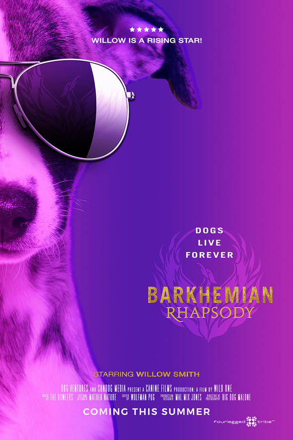 Barkhemian Rhapsody