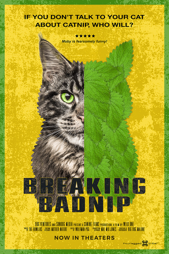 Breaking Badnip