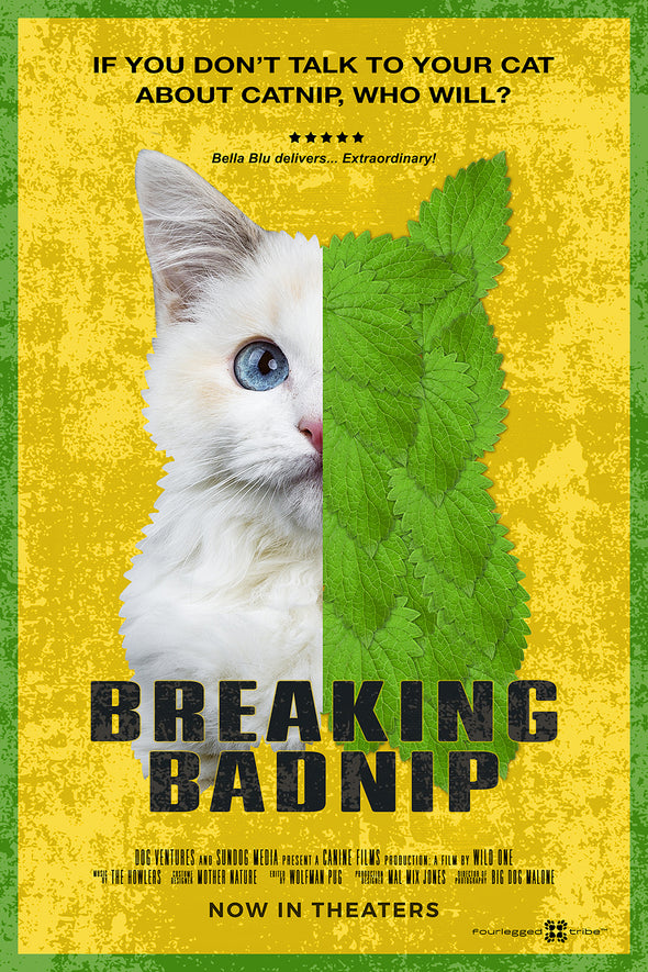 Breaking Badnip